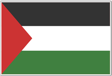 flag_pse_ps_390x265_palestine.gif