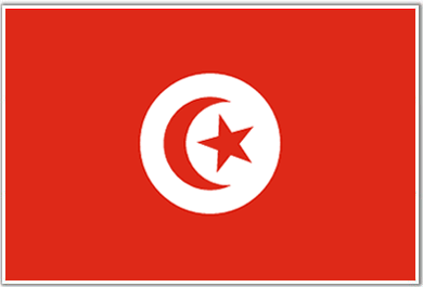 flag_tun_tn_390x265_tunisia.gif